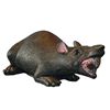 Rat zetstuk 2 Rat zetstuk 2