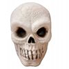 Schedel groot Grijs Halloween