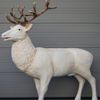 Hert Decoratiebeeld Wit Hert Decoratiebeeld Wit