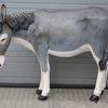 Ezel Decoratiebeeld Ezel Decoratiebeeld