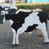 Koemelken 1 Koemelken 1