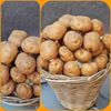 Mand met Aardappelen Decoratie Mand met Aardappelen Decoratie