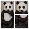 Panda Decoratiebeeld