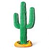 Cactus Decoratiebeeld Cactus Decoratiebeeld