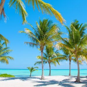 Decordoek Beach 3 Palmen Decordoek Beach 3 Palmen