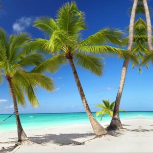 Decordoek Beach 4 Palmen Hangmat Decordoek Beach 4 Palmen Hangmat