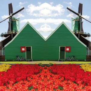 Decordoek Hollands Decordoek Hollands