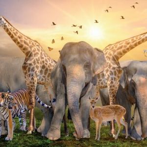 Decordoek Jungle en Safari Decordoek Jungle en Safari