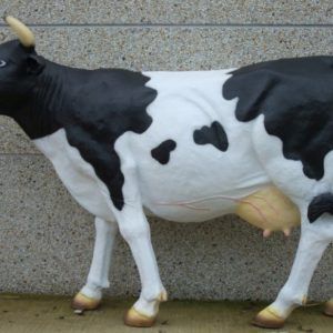 Koe Zwart / Wit
