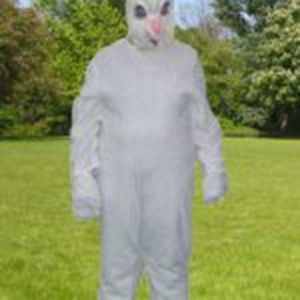 Konijn wit Konijn wit