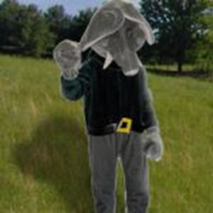 Olifant kostuum Olifant kostuum