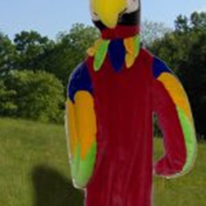 Papegaai kostuum Papegaai kostuum