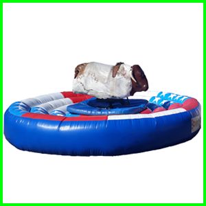 Rodeostier 1 Rodeostier 1