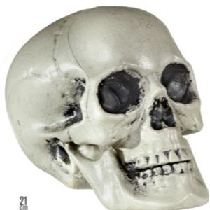 Schedel groot 30cm Halloween