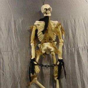 Skelet Hangdecoratie