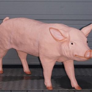 Varken Decoratiebeeld