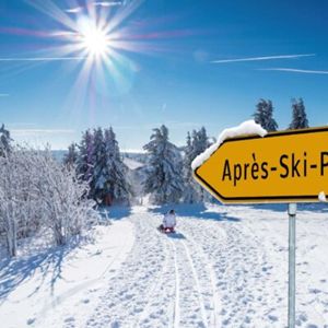 Decordoek Winterlandschap 11 Decordoek Winterlandschap 11