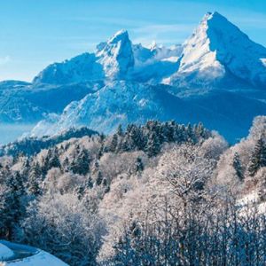 Decordoek Winterlandschap 5 Decordoek Winterlandschap 5