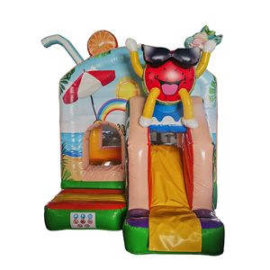 Springkussen Beach 43