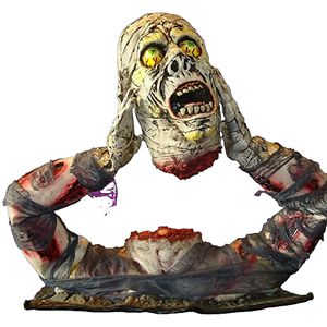 Mummie los hoofd 3D zetstuk Mummie los hoofd 3D zetstuk