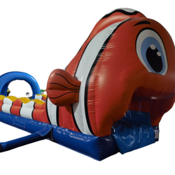 Buikglijbaan Nemo 3 Buikglijbaan Nemo 3