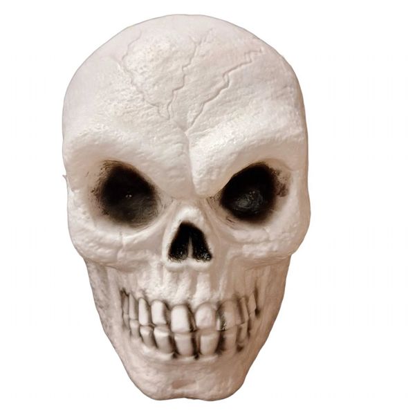 Schedel groot Grijs Halloween