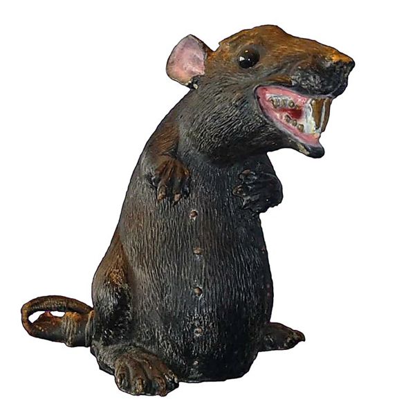 Rat zetstuk 1