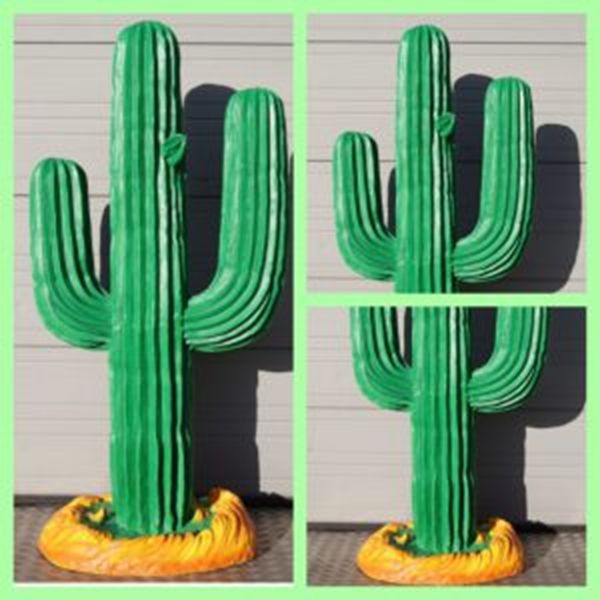 Cactus Decoratie
