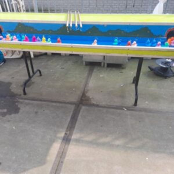 Eendjes Vissen Groot