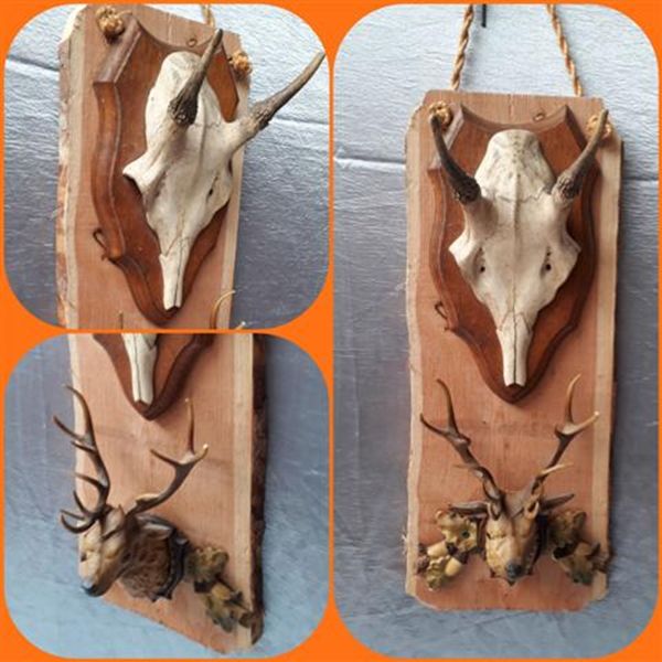 Hangdecoratie Gewei en Hert