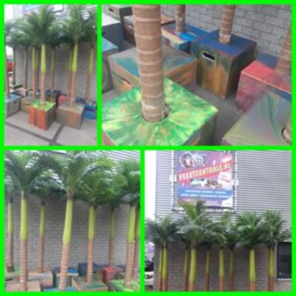 Palmboom 3 meter Palmboom 3 meter