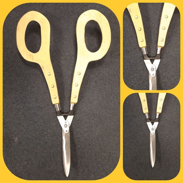 Grote Openings Schaar