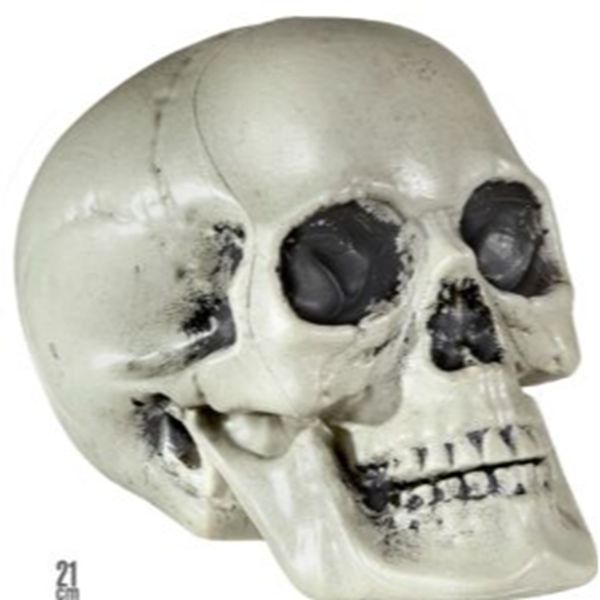 Schedel groot 30cm Halloween