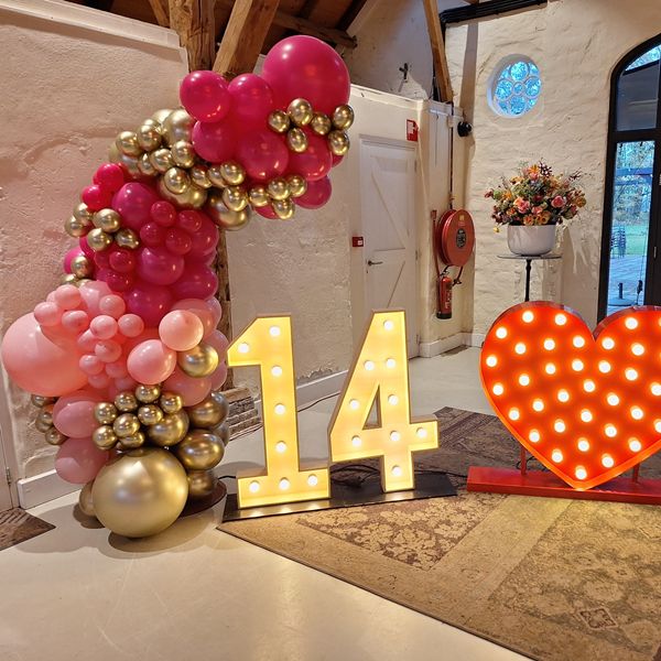 Speciale ballon decoratie's