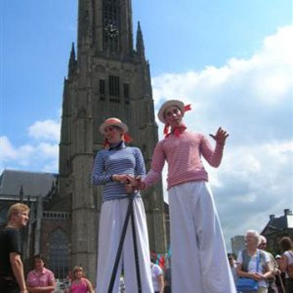 Steltlopers Steltlopers