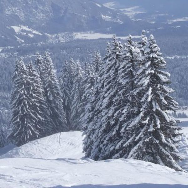 Decordoek Winterlandschap 2 Decordoek Winterlandschap 2