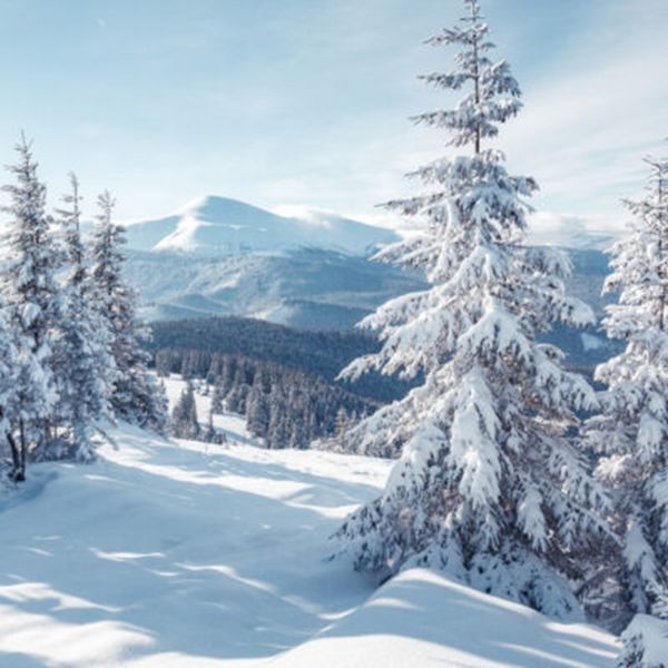 Decordoek Winterlandschap 8 Decordoek Winterlandschap 8