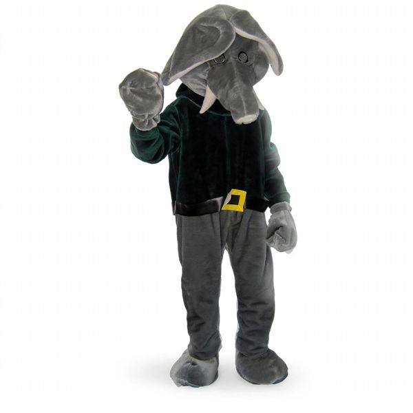 Olifant Kostuum